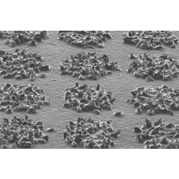 KOVAX MAXCUT Krążek na rzep ⌀152mm 7 otw. 50szt.